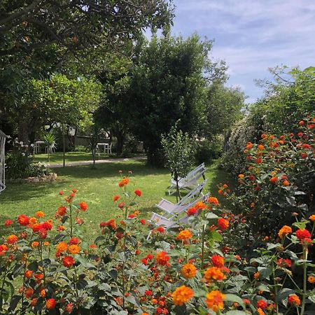 Villa Caterina B&B 普罗奇达 外观 照片