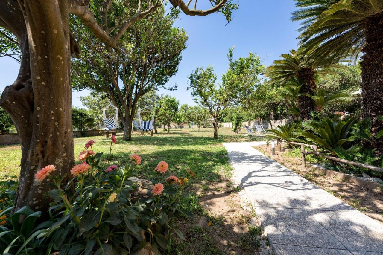 Villa Caterina B&B 普罗奇达 外观 照片