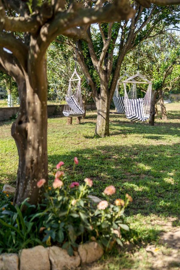 Villa Caterina B&B 普罗奇达 外观 照片