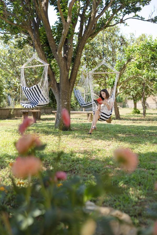 Villa Caterina B&B 普罗奇达 外观 照片