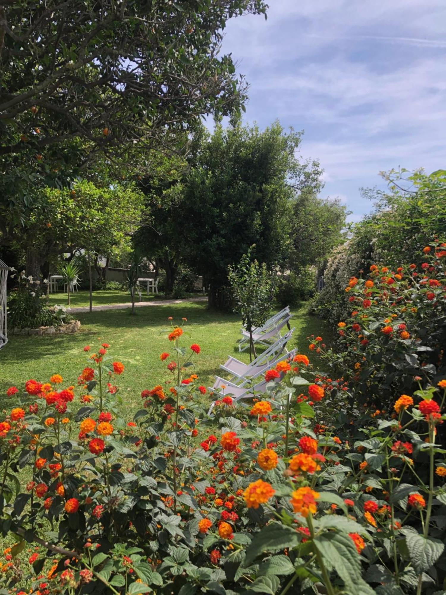 Villa Caterina B&B 普罗奇达 外观 照片